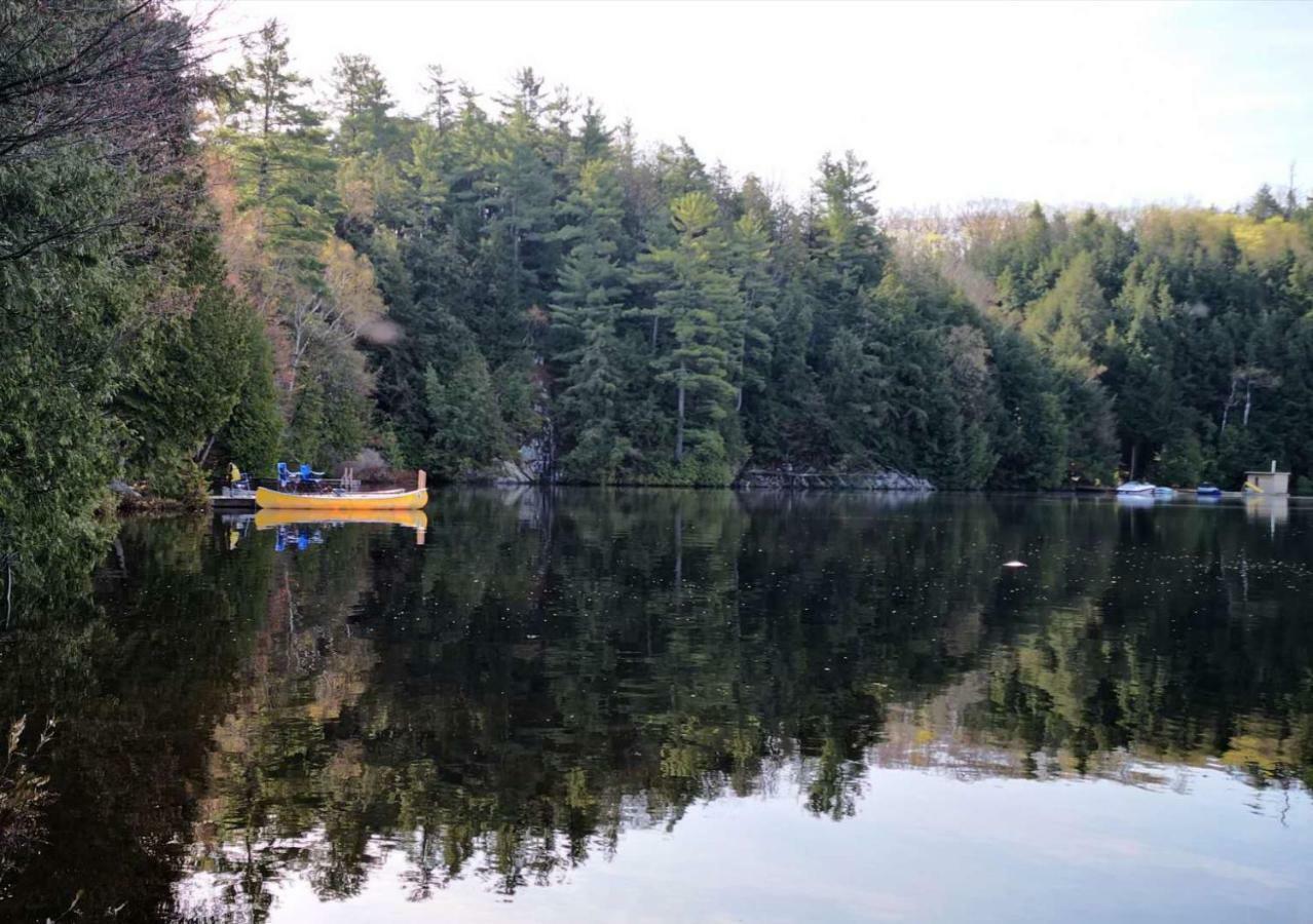 Sunny Point Resort Otter Lake المظهر الخارجي الصورة